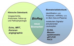 BioReg Konzept-gross