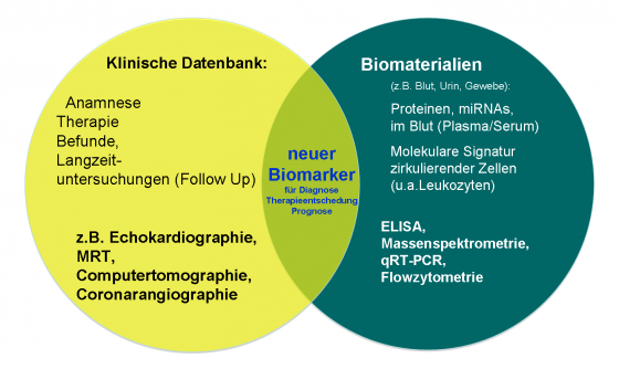 BioReg_Schema1